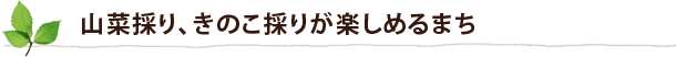 山菜採り、きのこ採りが楽しめるまち