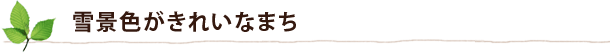 雪景色がきれいなまち