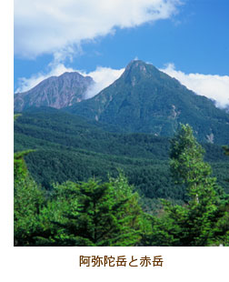 ����Ɋx�ƐԊx